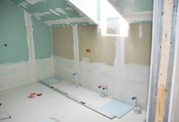  Elsberry, MO Mold Removal Pros